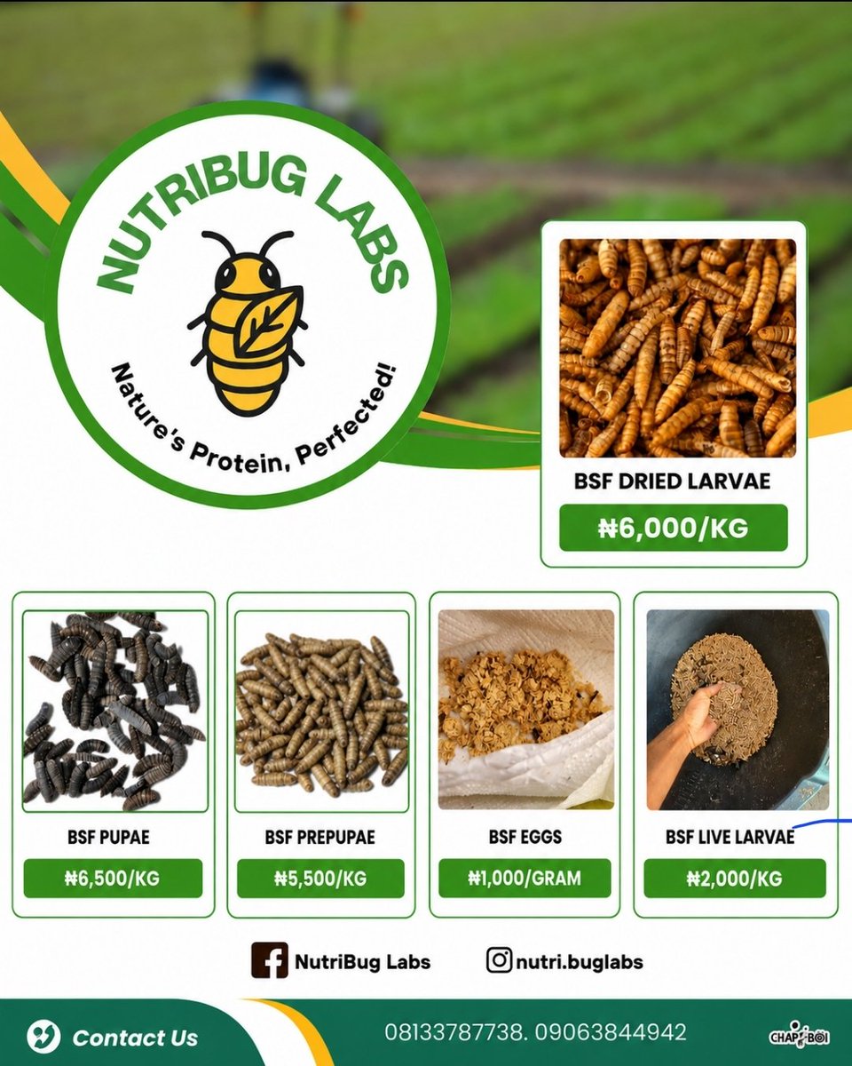 NutriBugLabs's tweet photo. Our Prices Have Been Slightly Updated, Same Quality Products Though, Send An Order Today, We're Active!! https://t.co/87EfzJqq8C