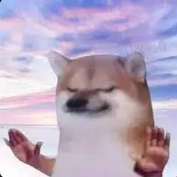 trustmebropls's tweet photo. Absolute trust. https://t.co/oMl1ajpSe4