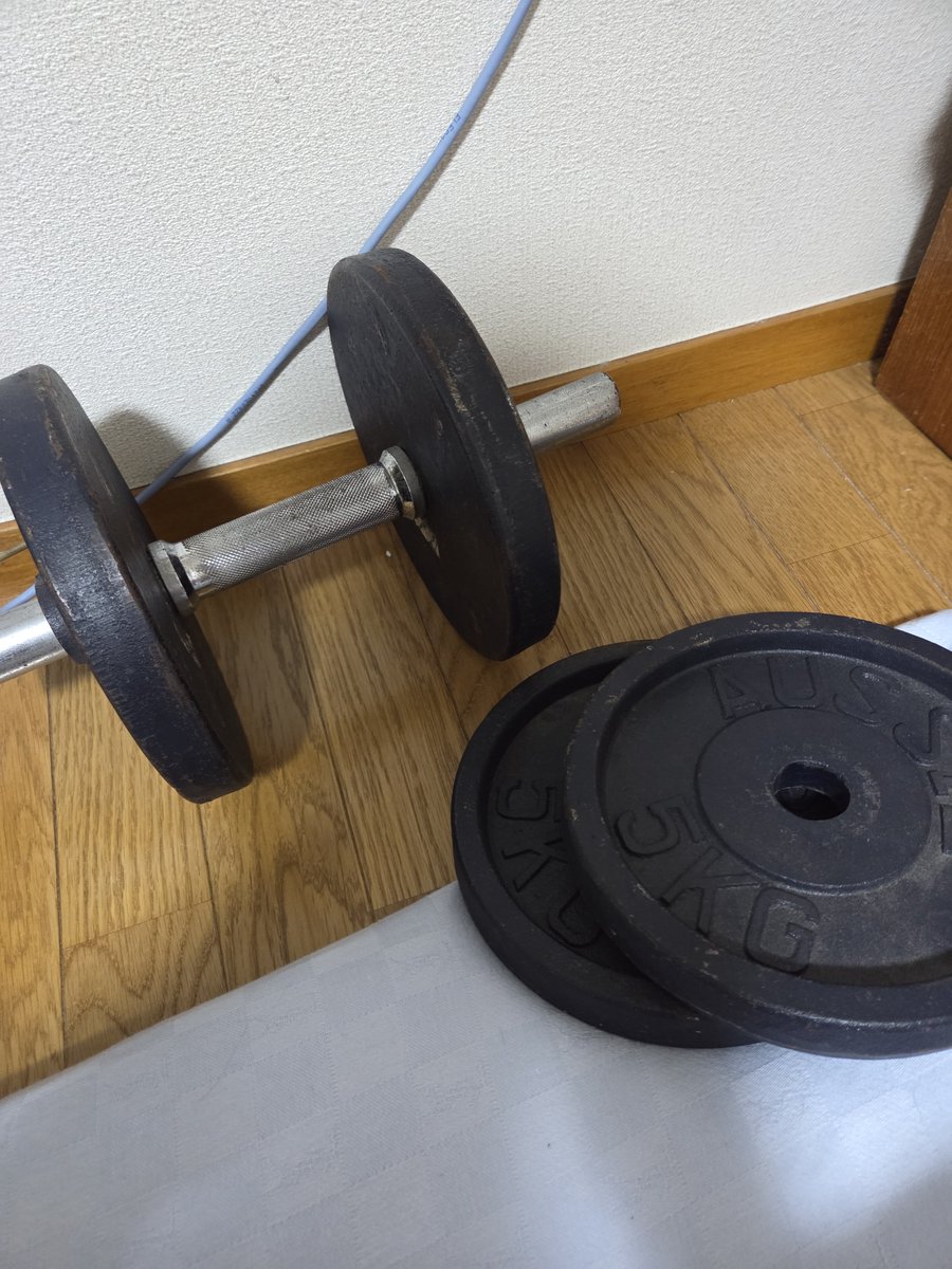 mokeke99's tweet photo. この骨董品レベルのダンベルの重りが外れて足に落ちて鬱
大人しく最新の可変式ダンベル買お… https://t.co/CQQHX2a4bp