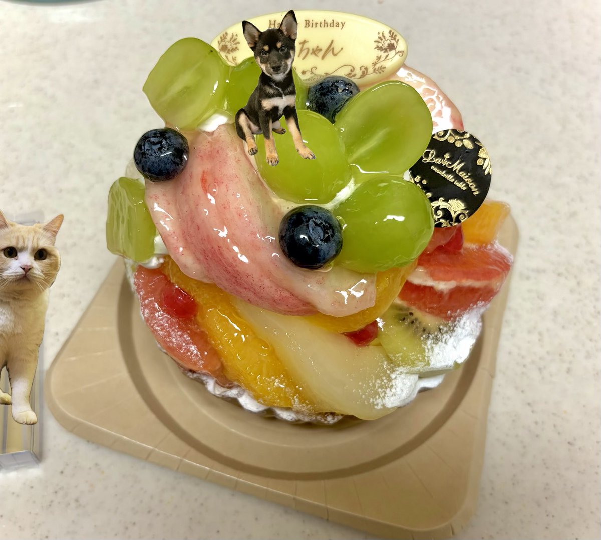 obonbom's tweet photo. おたんじょびしてたらレイド始まっとった https://t.co/517uGp6PF6
