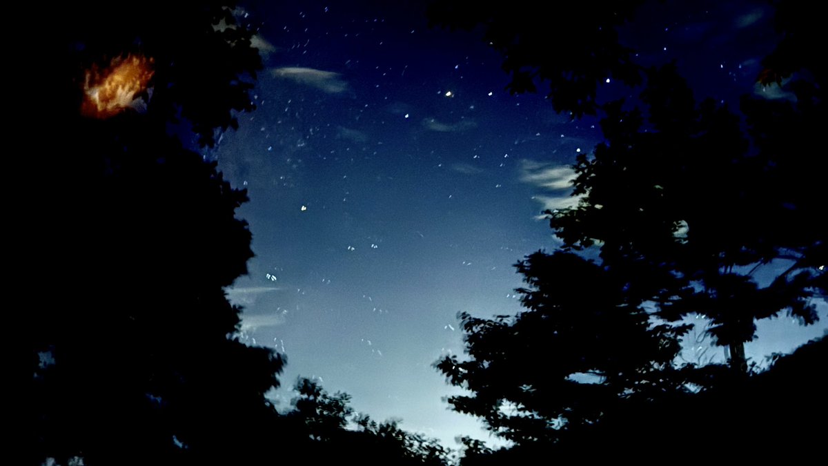 pomoFFqumo's tweet photo. FF11 Rockguitar🎸 NMハンターLive ＠ 森の基地暮らし

寝転がりながら😌🍃🌳tube
そして🌠流星群 https://t.co/RcoOjHYeoV