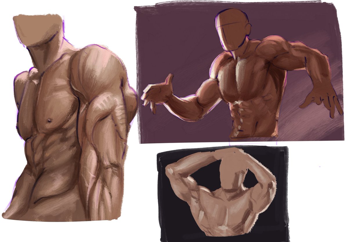 pranalidraws's tweet photo. rendering and anatomy practice today, trying to up my game
#dailysketches #anatomy #anatomyart https://t.co/JW6rBUb3s2