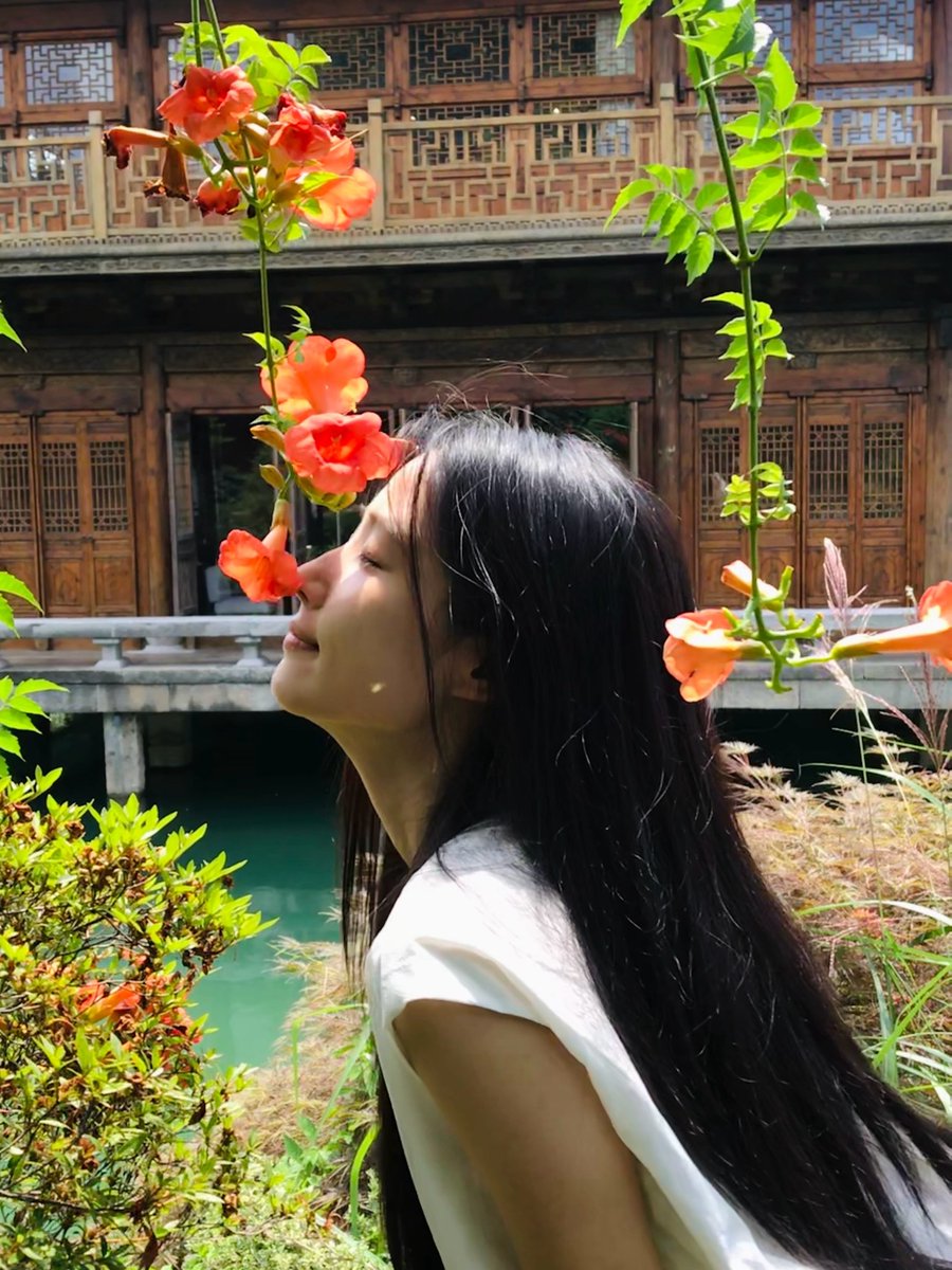 yuxzao's tweet photo. I adore the way the sunshine reaches deep into my heart, even on days when the heat feels endless. But it’s that very heat that makes cold ice cream taste so sweet, and best of all? The summer flowers are blooming, smelling just as lovely as the ones in my photos. https://t.co/e9wC3jmEhB