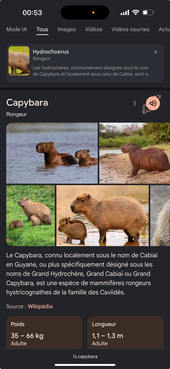 ismo5zz's tweet photo. @Dxriv2_ Ça n’a rien à voir https://t.co/ANKR3CvnjA