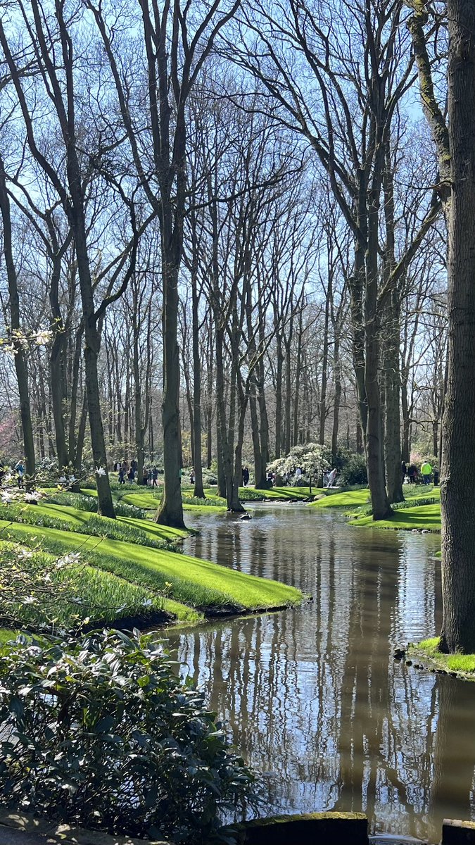 AlphonceCG's tweet photo. @Grampa1950 The glassy river at Keukenhof.  One of my favorate shots. https://t.co/X0qduiu0WZ