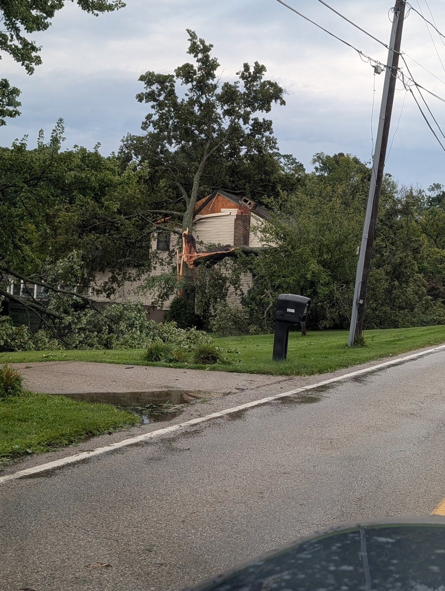 Kathmajp's tweet photo. @NWSILN More damage around the Boomer Rd / Race Rd intersection from 8.11 storms around 3:30pm https://t.co/lr5QAtJ9xX