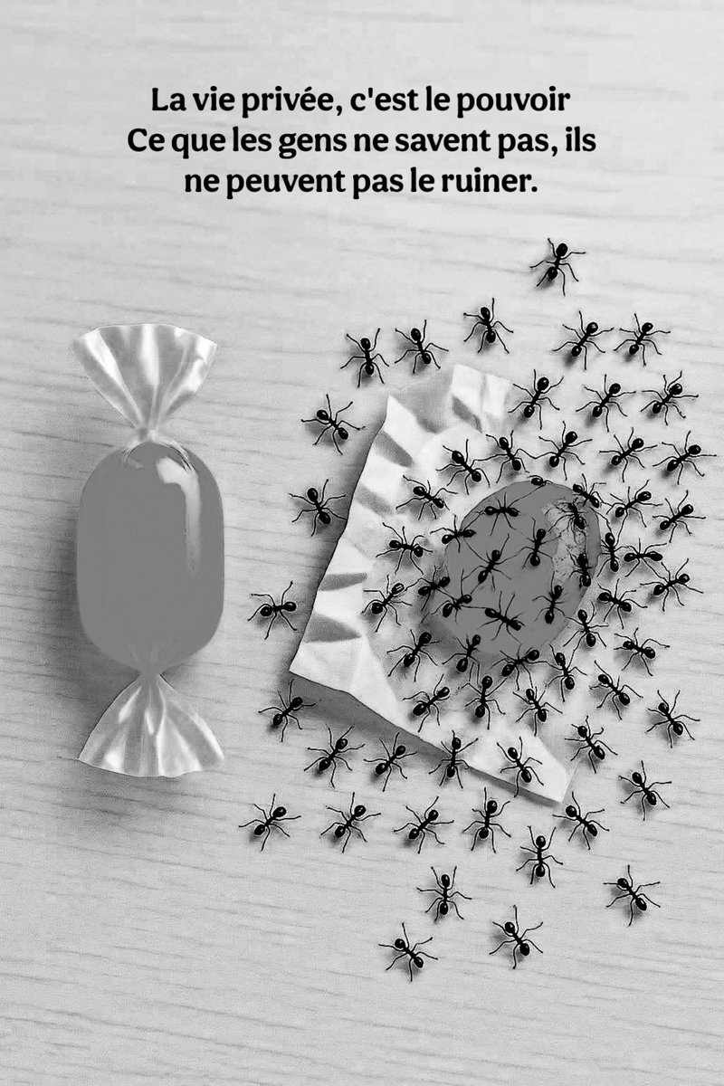 Mindset_FR's tweet photo. La vie privée, c’est le pouvoir https://t.co/IZp8la8EFH