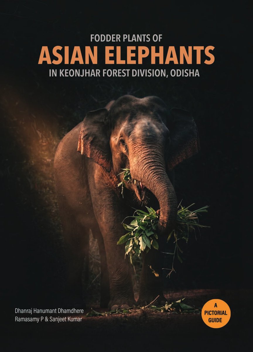 SubhaRout_1998's tweet photo. On the occasion of World Elephant Day, our book "Fodder Plants of Asian Elephants in Keonjhar Forest Division" was inaugurated by the Hon'ble Minister, Forest, Environment and Climate Change Department, Odisha along with other officials. 
Thankful to @DfoKeonjhar @PCCFWL_Odisha https://t.co/5GORAj28eg