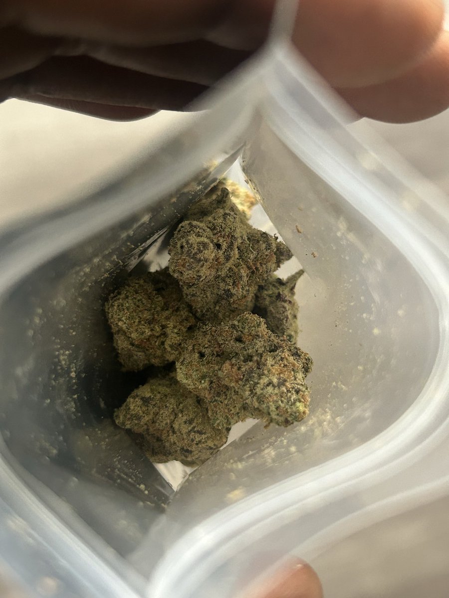 Goodzamsrv's tweet photo. @chunkyacademy Haven’t smoke it yet but this sht smell good tho https://t.co/PIDpWTThki