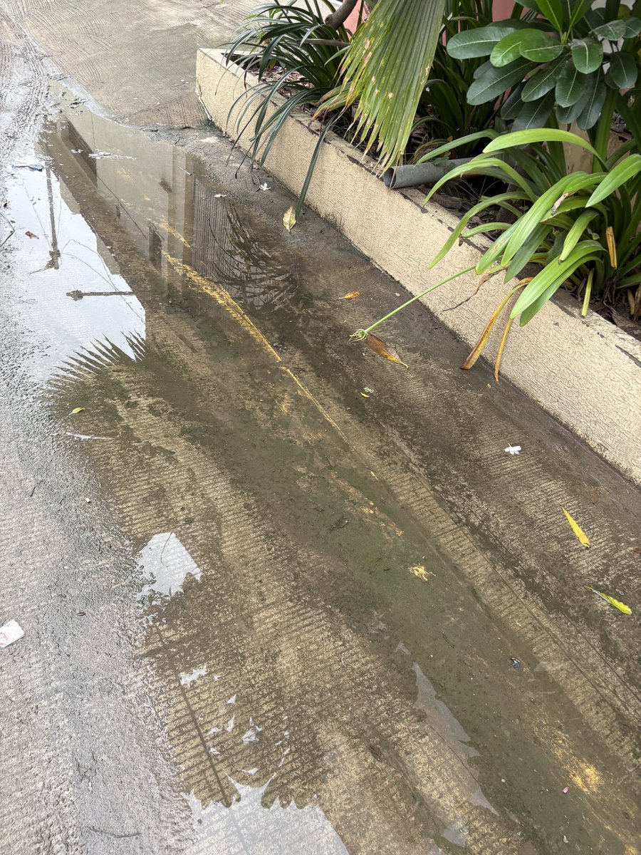 shivam_rajput03's tweet photo. @AmdavadAMC @AMC_Complaints @swachhbharat This is an infrastructure/drainage issue in Isanpur, Ahmedabad. Rainwater remains stagnant for days because there is no proper drainage path. I already reported it on the Swachhata, but no resolution has been taken. https://t.co/BM8WmzOT8w