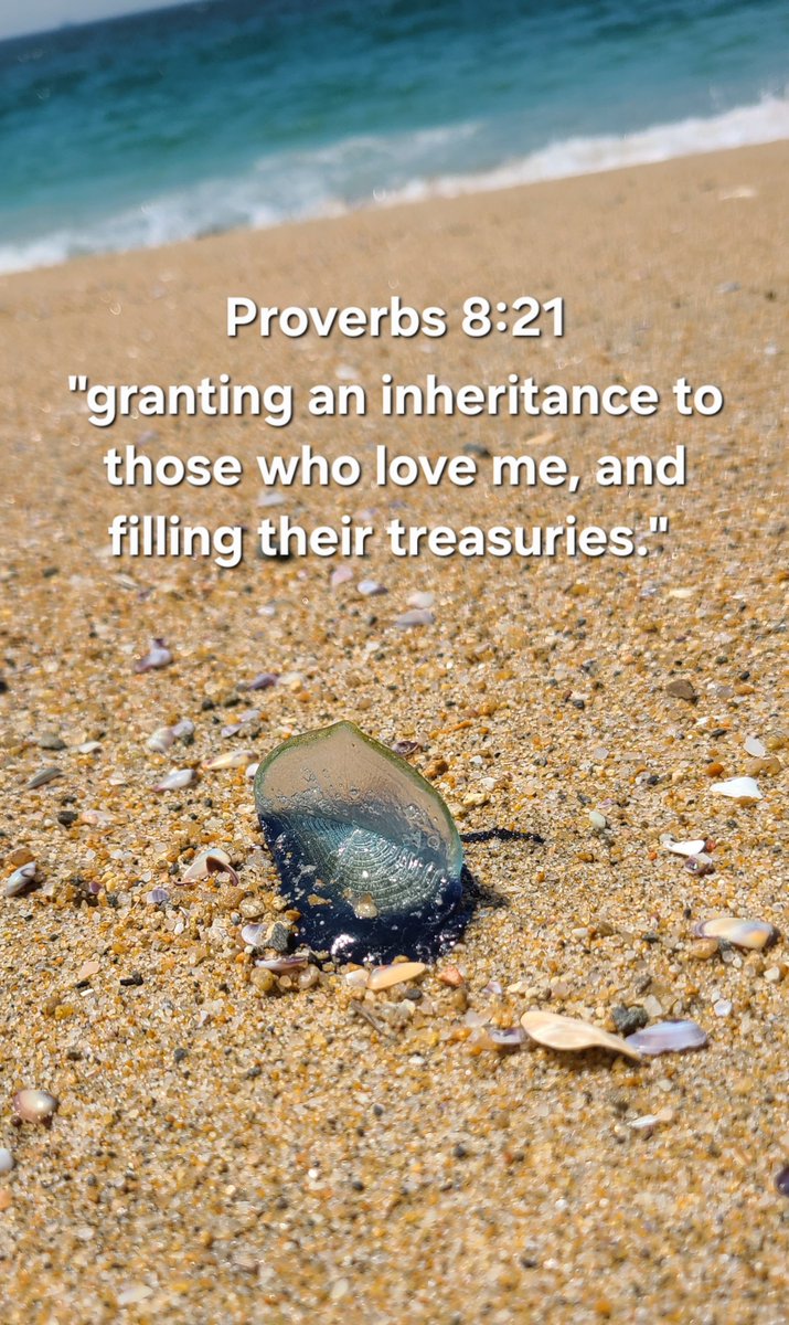 Cook_n_Care's tweet photo. Wisdom

Jesus https://t.co/zYmCYMHYPp