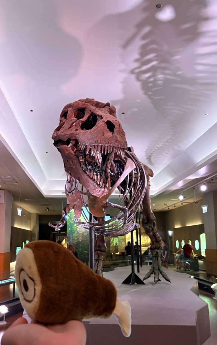 SUEtheTrex's tweet photo. The offerings have begun to arrive. Thank you, mammals. 🍖 https://t.co/gc55MUOLpY