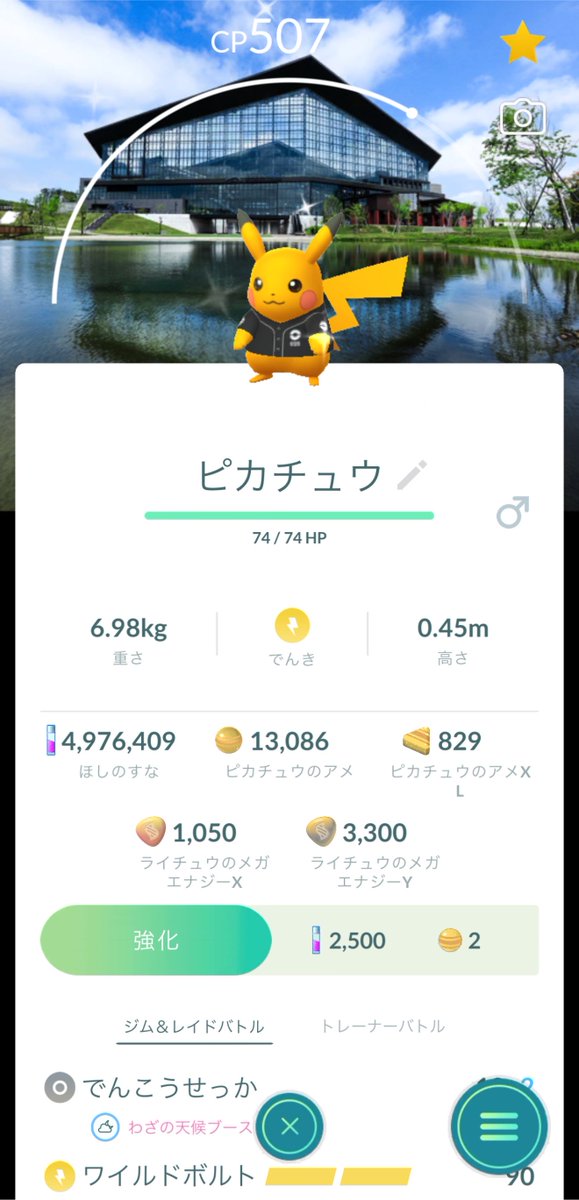 junk_pgo's tweet photo. 🔥 https://t.co/AyR8DPLwHK