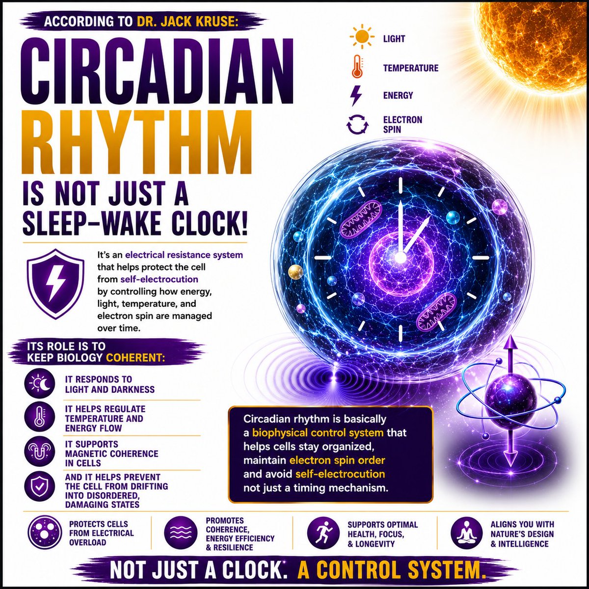 movementandreas's tweet photo. 👉 According to Dr. Jack Kruse 🧠

Circadian Rhythm is not just a sleep-wake clock!

⚡️It's an electrical resistance system that protects the cell from self-electrocution by controlling how energy, light, temperature &amp; electron spin are managed over time

https://t.co/oQg0VS1gl4 https://t.co/BHilOjPHtn
