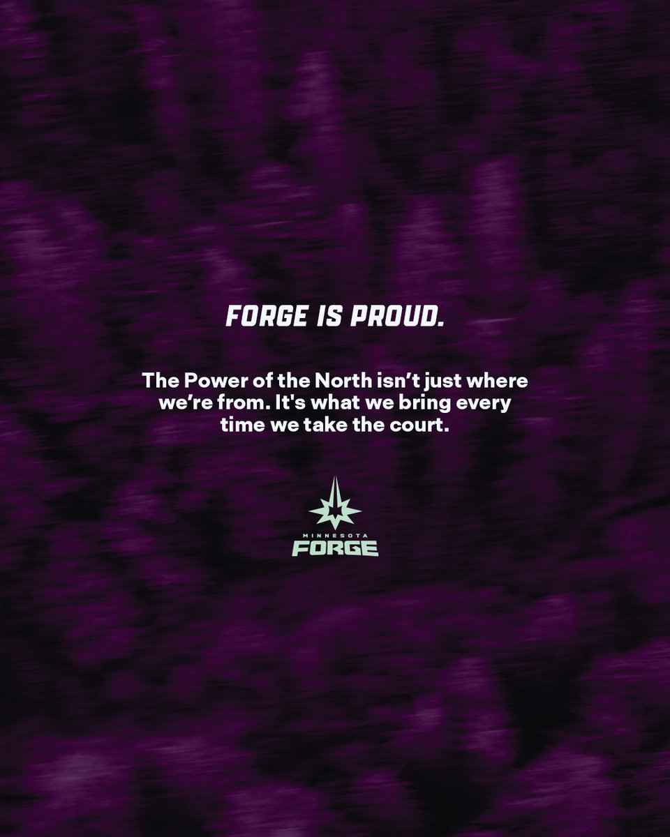 MinnesotaForge tweet picture