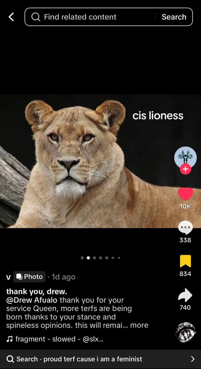 vvsgus's tweet photo. The girls on TikTok are hilarious !!🤣 https://t.co/qw2MU2FqWb