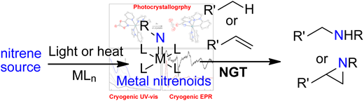 Powers_Lab's tweet photo. Our latest review by @arpanpaikar95  explores advances in metal nitrene and imido complexes for N-group transfer chemistry, detailing new synthetic strategies, reactive intermediates, and their roles in catalysis. Read more:
https://t.co/74kmiWvk9o https://t.co/9qqWw9fxcI