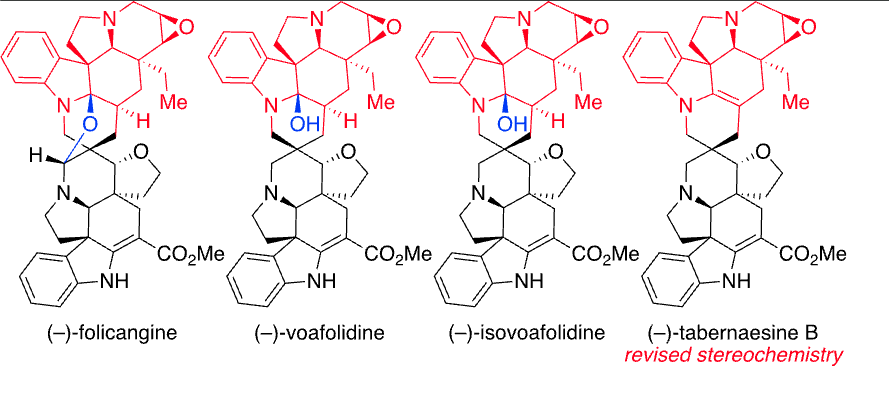 TotalSynthesis's tweet photo. Directed Heterodimerization: #TotalSynthesis of (−)-Folicangine, (−)-Voafolidine, (−)-Isovoafolidine, and (−)-Tabernaesine B by Robert-Cristian Raclea, Mohammad Movassaghi at @ChemistryMIT in @JOC_OL https://t.co/1XcK53aDqh https://t.co/oM2dUvBcpL