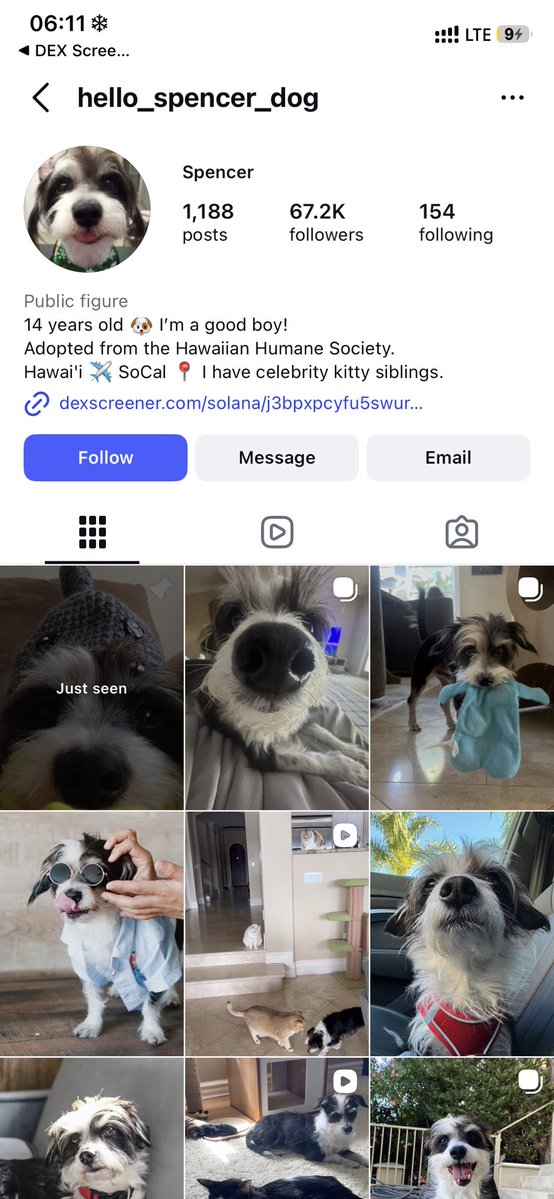Khalifa_CoY's tweet photo. @Shadow_INTERN_ @__H0LL0W @_Shadow36 You’re cute. DEX added to the instagram page. https://t.co/zkKzH23UCy