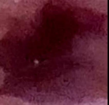 PafLeMeilleur's tweet photo. Tout simplement bluffant #eclipse https://t.co/Xg8SgVsEiL