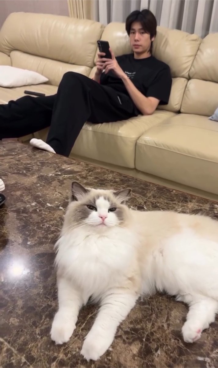 hamburggers's tweet photo. เทอคนนั้นคือชั้นอีกคนมากๆ😾😼😾😼 https://t.co/mDSTjKGT8x