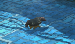 apricotfaerie's tweet photo. hello i'm under the water please help me https://t.co/nJj939ql8r