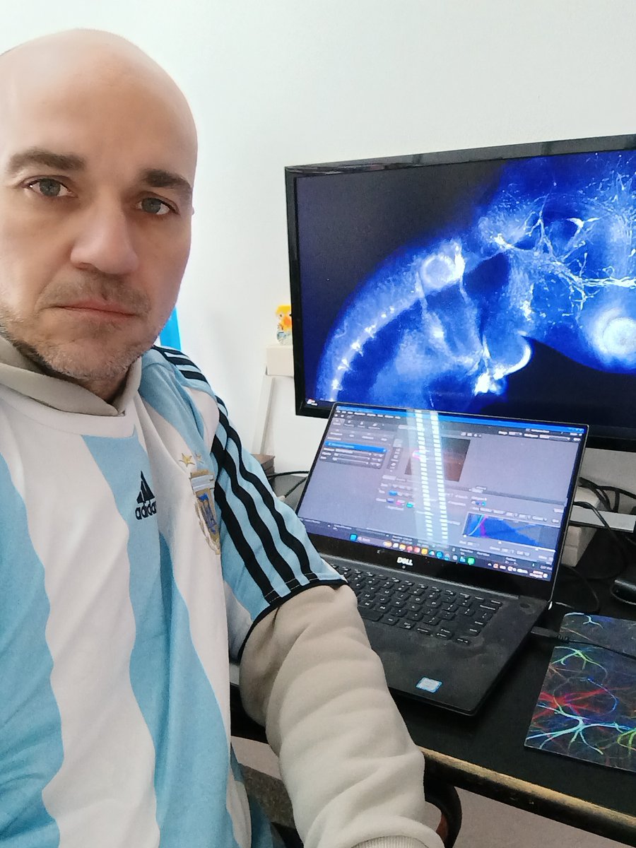 PstroblM's tweet photo. Hoy, como todos los días, trabajo con la camiseta de Argentina! https://t.co/12mwxyUoAc