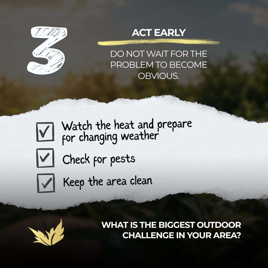paradiseseeds's tweet photo. Summer heat giving your garden a challenge?

🥵 Don't sweat it! Our expert Grow Guide is packed with tips to keep your plants thriving: https://t.co/ewCQ3vHK6f

👀 How is your garden doing in the heat?

#paradiseseeds #paradiseseedscommunity #growerlife #outdoorgrowing #growguide https://t.co/rXvSVkf74E