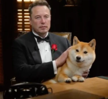 DeclanFogarty10's tweet photo. This cat by the name of "Martin" is currently going viral on Reddit with over 65k upvotes in just 1 day.
This is LITERALLY giving the same vibes as "The Dogefather" meme of Elon in a suit holding DOGE, but this time around, it's with a CATE. 
Everyone in the comments is memeing this cat right now.
Someone launched this coin the other day but volume was extremely low and the Reddit was going nearly as viral, so I decided to CTO the narrative and give it another chance, because this truly is on-meta and a runner.
$MARTIN The Catefather
https://t.co/CWodesgr1n