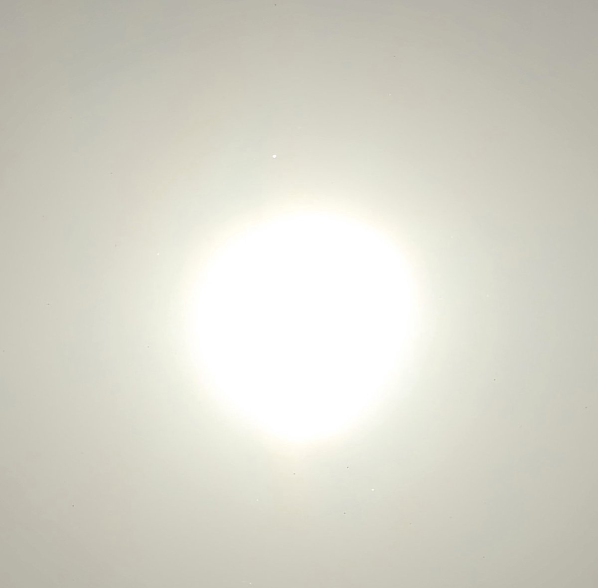 VonActor tweet picture