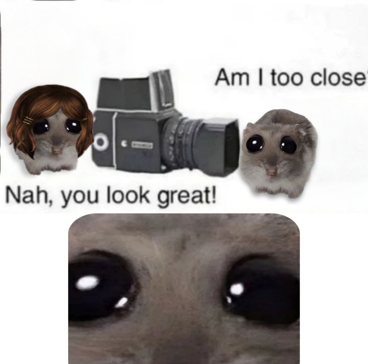 SadHamsterX tweet picture
