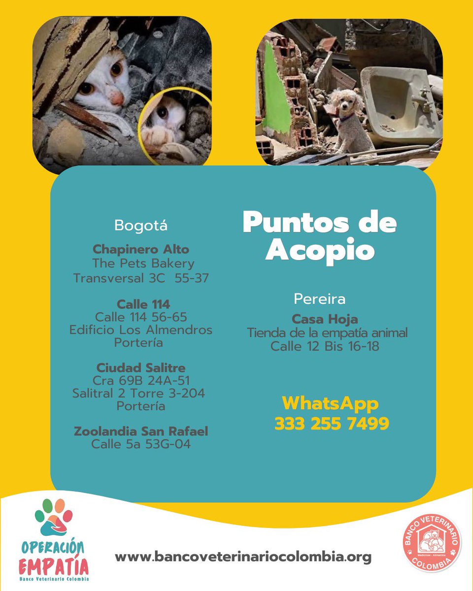 larroticaa's tweet photo. Hilo de centros de acopio o cuentas confiables para donar, si quieres ayudar a los ANIMALITOS🐾🧵

1. BANCO VETERINARIO. https://t.co/qZUB8xvjud