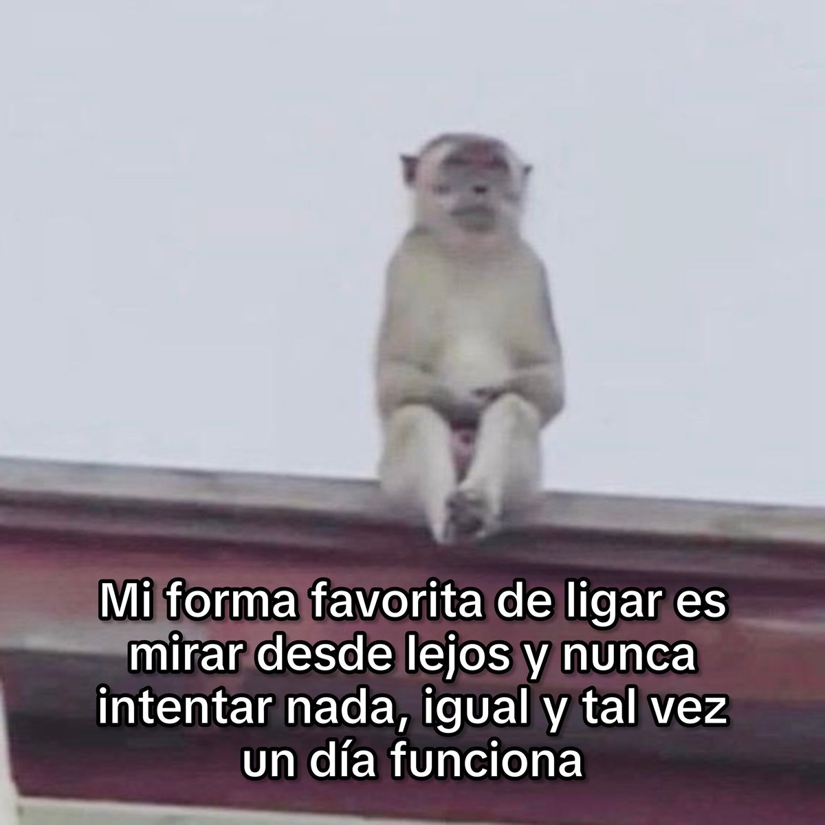 flanchota's tweet photo. mi forma de encarar https://t.co/81WCBBf9Iw