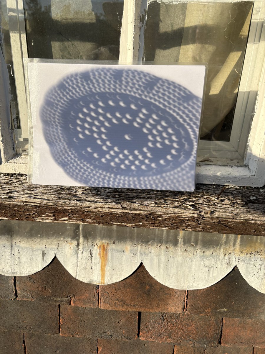 soleil_lu's tweet photo. @Barristerblog Try a vegetable steamer perpendicular to the sun https://t.co/BNLdu4yxfK