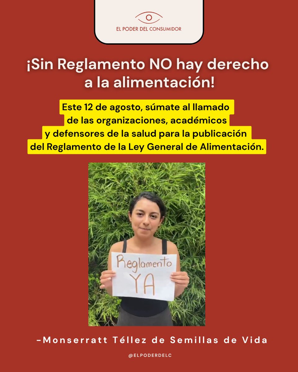 elpoderdelc's tweet photo. 🚨🍴Hace más de 2 años se aprobó la Ley General de Alimentación Adecuada y Sostenible #LGAAS, pero sin su Reglamento no podemos avanzar hacia sistemas alimentarios saludables, sostenibles y justos en México.
📢HOY súmate a la demanda colectiva para exigir su publicación con una foto o video usando #ReglamentoYa y etiqueta a @m_ebrard, @DKershenobich , @columbalopezg, @LuisaAlcalde, @Claudiashein