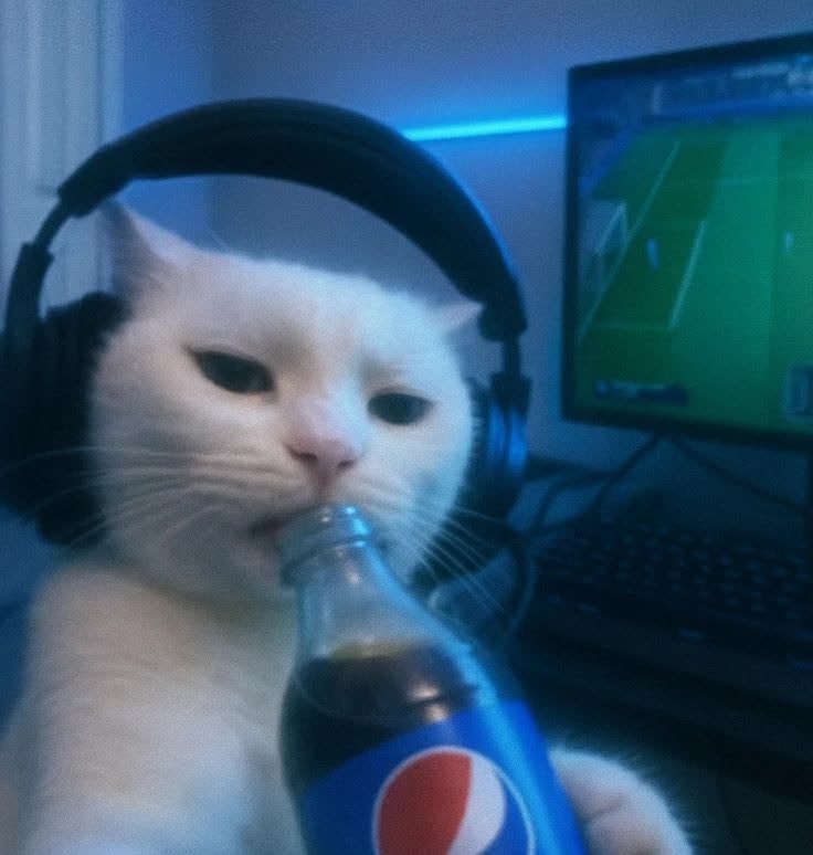 TomcaughtJerry's tweet photo. No one wants to join 

My goal is to Scale Tom Caught Jerry

Come join me in my telegram

2KGchACDaDfX1svbzj7maqJqZPe4L6fAr3vsA3NHpump

https://t.co/Ec8VXdWTRl https://t.co/bPXkmsLUPd