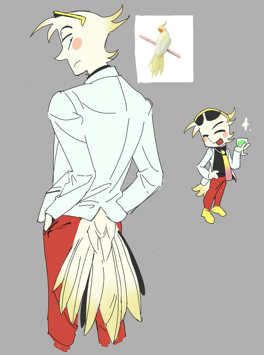 hao99800's tweet photo. 玄凤鹦鹉啊 https://t.co/GAt5ATsFks
