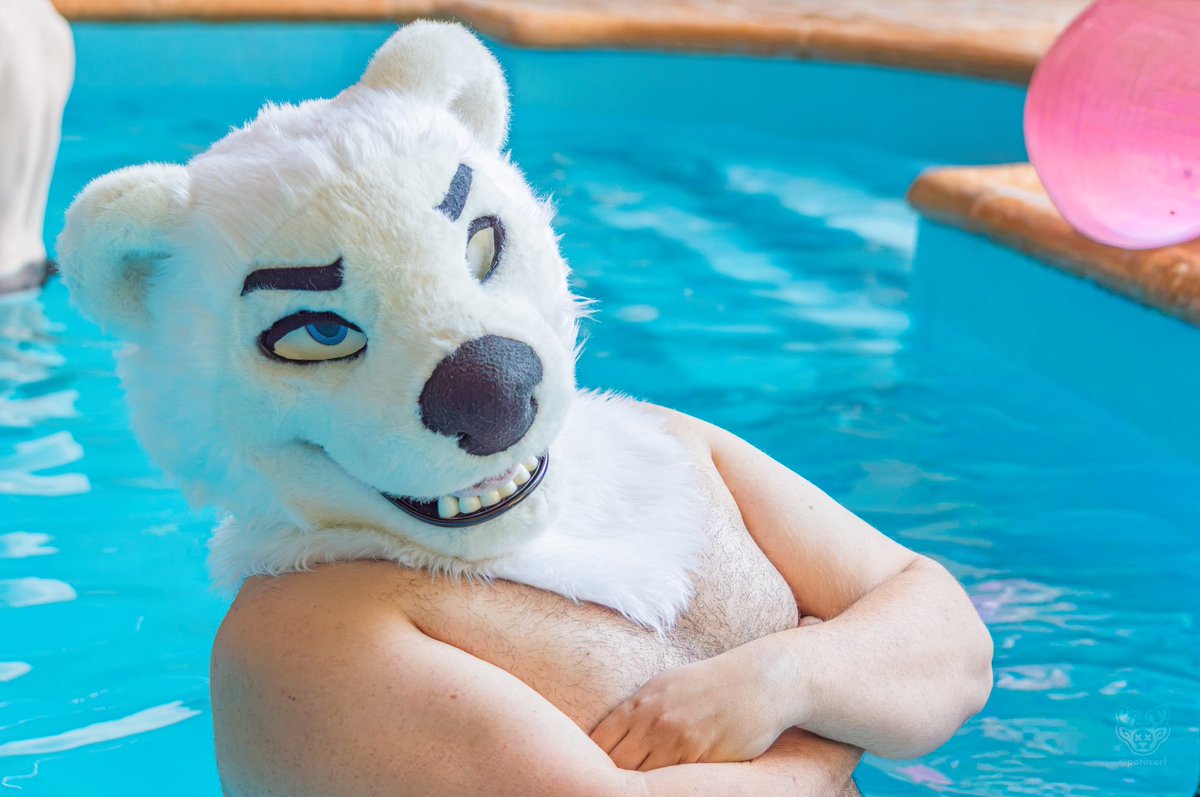 Tiro_thepolar's tweet photo. Why not join me in the pool for this #TummyTuesday ? I’m still waiting 🥵

📸 @PotitCerf https://t.co/Xd8jCkBZ1P