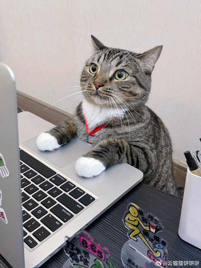Keepinternerfr4's tweet photo. When I asked my intern to "proofread my urgent report"—they spent 20 mins adjusting my typed comma spacing to exactly match my handwritten draft. https://t.co/qhBJGvqfQN