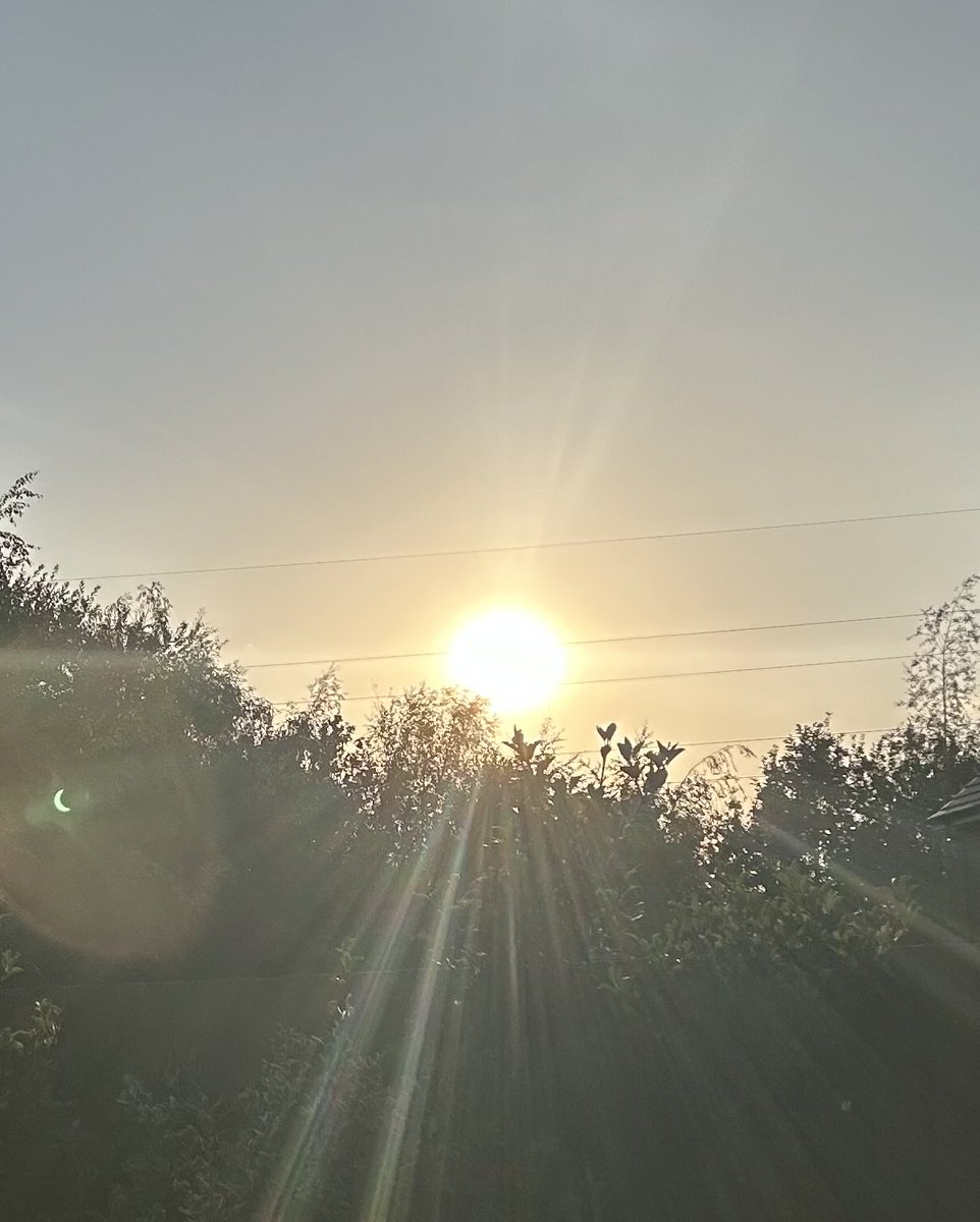 MunchPudding's tweet photo. Feeling quite underwhelmed…. Mum said she was sure it was much better in the 90s! But then, wasn’t everything?! 😹 

With impeccable timing, I appeared through my Hedgehog Highway at the exact moment of maximum eclipse! 🌘  #SolarEclipse #Hedgewatch 🐾 😺🌿 https://t.co/7SPBCMZgLI