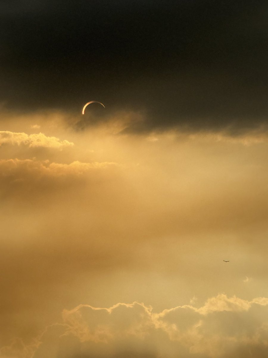 FcJunction's tweet photo. This evenings #eclipse photos https://t.co/qViL0vBQbf