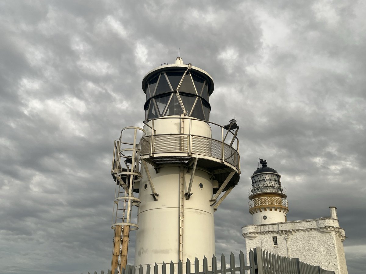 LighthouseMus tweet picture