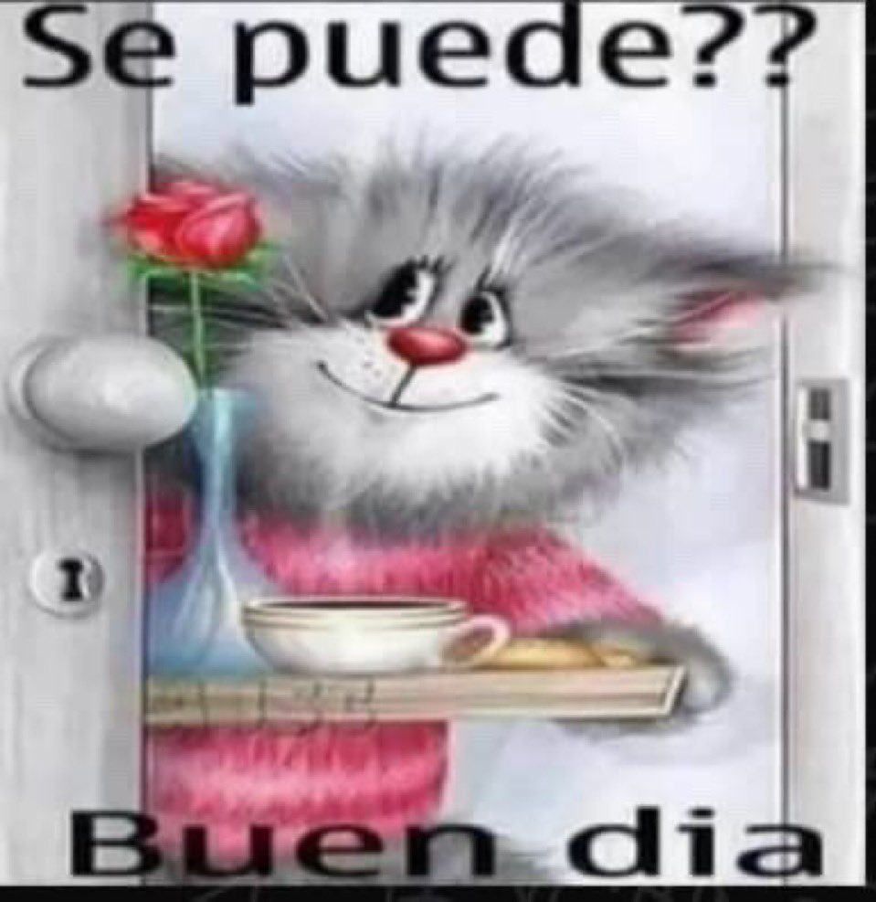 aenhelar's tweet photo. @fernandax222 https://t.co/gqHVUhZArn