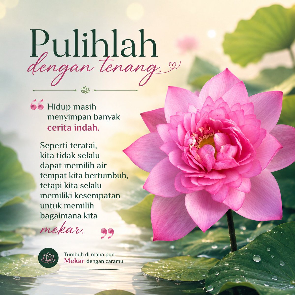 HariTriyatmo's tweet photo. “Pulihlah dengan tenang. Hidup masih menyimpan banyak cerita indah. Seperti teratai, kita tidak selalu dapat memilih air tempat kita bertumbuh, tetapi kita selalu memiliki kesempatan untuk memilih bagaimana kita mekar.” https://t.co/wphaDCtiFq