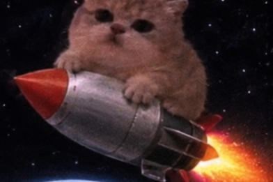 JamCatRH's tweet photo. no brakes on this one $JAMCAT https://t.co/3b9x5SH7Ke