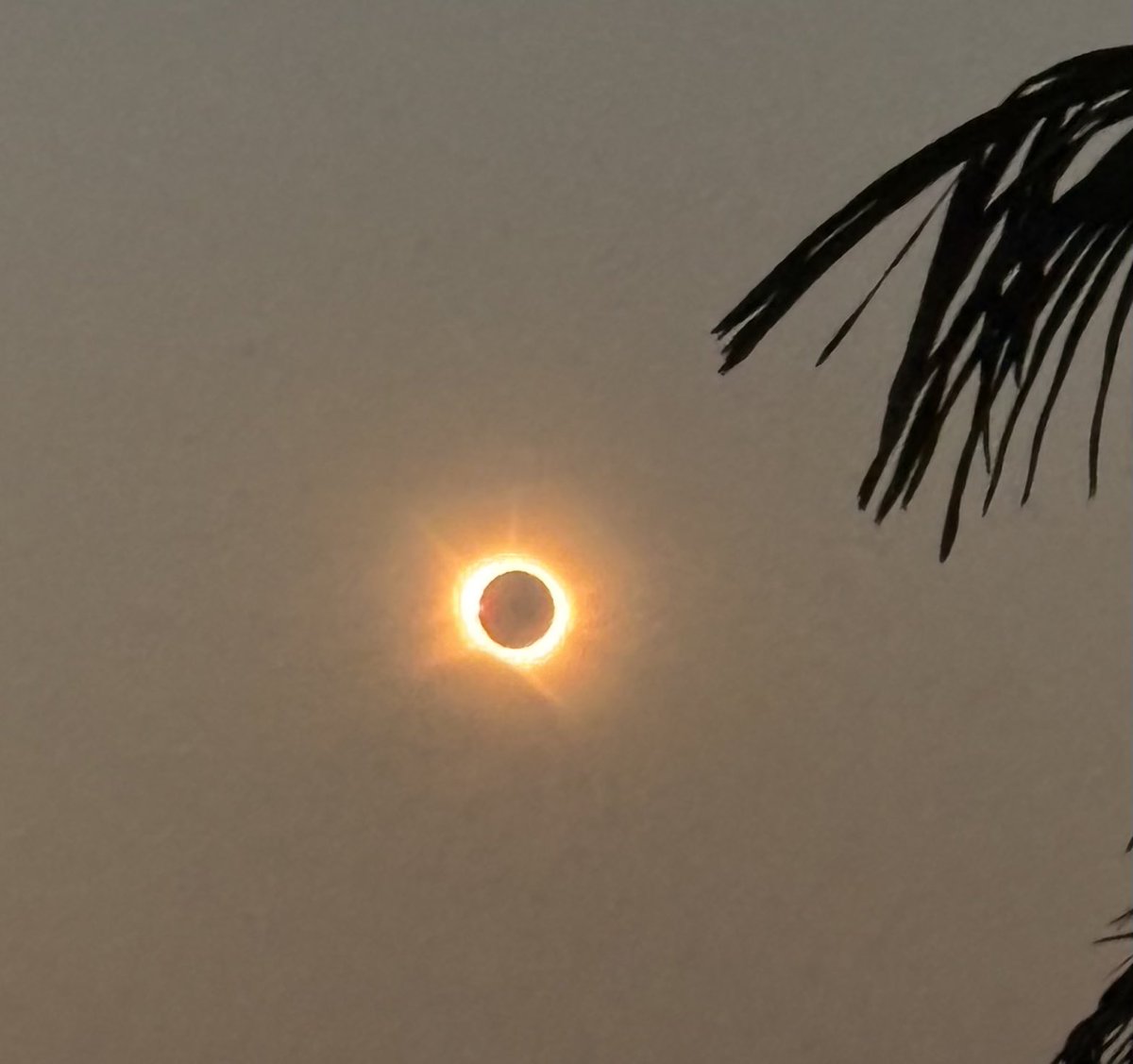 DaAcervo's tweet photo. Consegui pegar o momento do eclipse total 🤩 https://t.co/3MOB6ryuRx