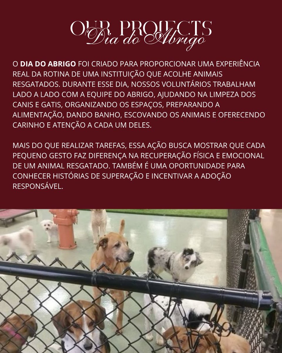 lucevetrp's tweet photo. ˓ 🐾 ձnimal ᧙are ; ᝯompassionate ꫝearts ￢ Ⲙeaningful bonds  #Clinic  〞❚  ᨰelness First &amp; Healthy Lives ⁾⁾ ᥪׅׅ𝗟𝘂𝗰𝗲𝗩𝗲𝘁 .ᐟ

CONHEÇA NOSSOS PROJETOS:
— Dia do Abrigo
— Puppy Yoga
— Passeio da Socialização
— Berçário Pet https://t.co/a55rJgTjse