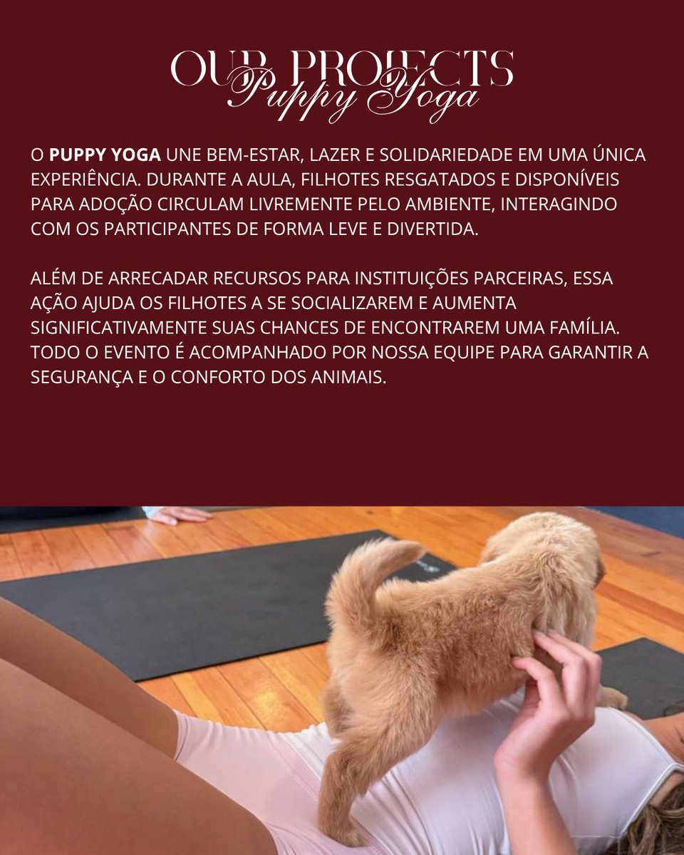 lucevetrp's tweet photo. ˓ 🐾 ձnimal ᧙are ; ᝯompassionate ꫝearts ￢ Ⲙeaningful bonds  #Clinic  〞❚  ᨰelness First &amp; Healthy Lives ⁾⁾ ᥪׅׅ𝗟𝘂𝗰𝗲𝗩𝗲𝘁 .ᐟ

CONHEÇA NOSSOS PROJETOS:
— Dia do Abrigo
— Puppy Yoga
— Passeio da Socialização
— Berçário Pet https://t.co/a55rJgTjse