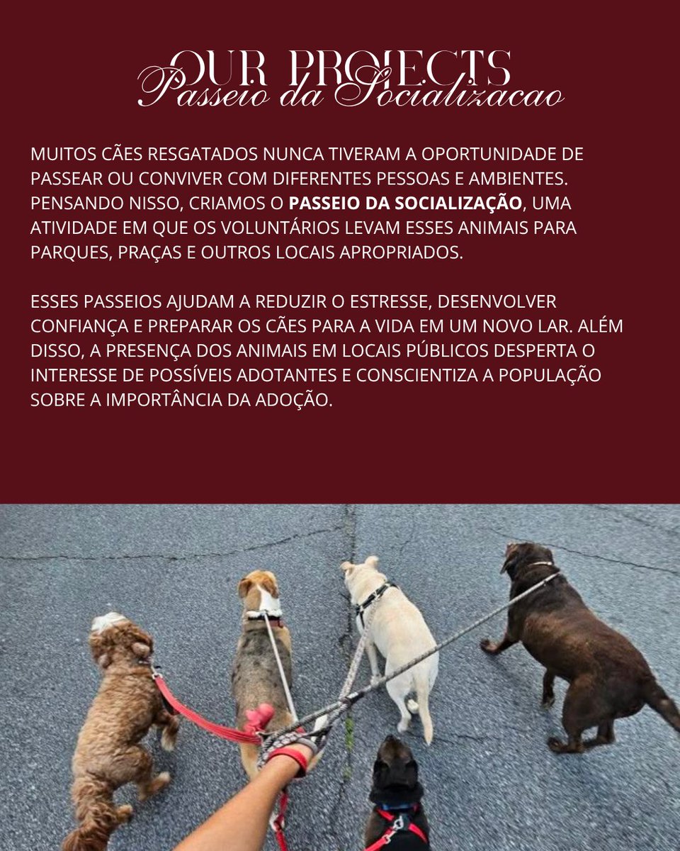 lucevetrp's tweet photo. ˓ 🐾 ձnimal ᧙are ; ᝯompassionate ꫝearts ￢ Ⲙeaningful bonds  #Clinic  〞❚  ᨰelness First &amp; Healthy Lives ⁾⁾ ᥪׅׅ𝗟𝘂𝗰𝗲𝗩𝗲𝘁 .ᐟ

CONHEÇA NOSSOS PROJETOS:
— Dia do Abrigo
— Puppy Yoga
— Passeio da Socialização
— Berçário Pet https://t.co/a55rJgTjse