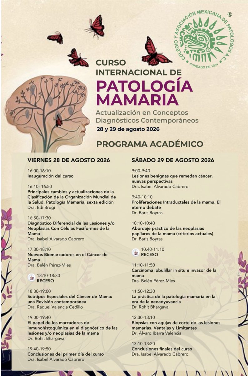 vintage81106614's tweet photo. Estimados todos, te recordamos nuestro curso anual de Patología Mamaria. Quiero comentar que los médicos residentes, tienen media beca, solo requerimos que se identifiquen con su credencial. #seguimoseducando https://t.co/WKXvYpy5sj